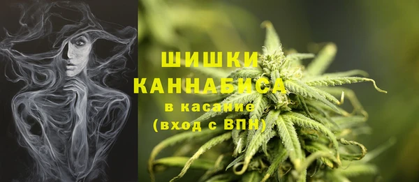 бошки Белокуриха