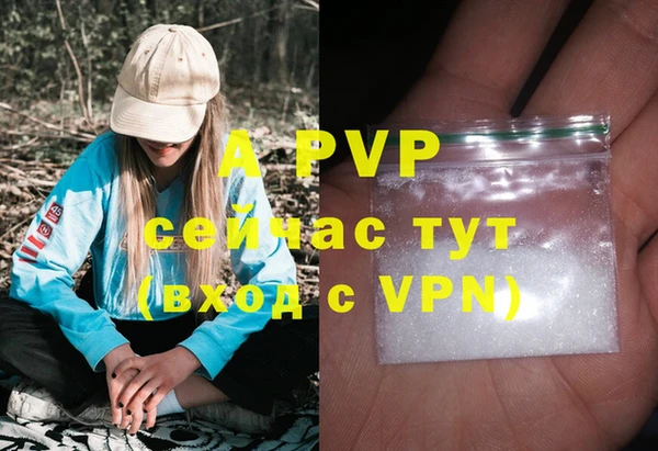 бошки Белокуриха