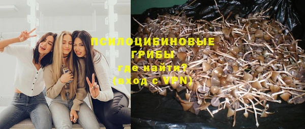 бошки Белокуриха