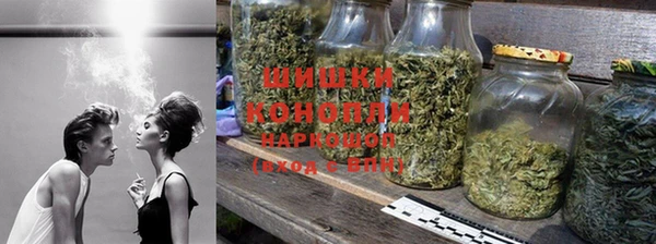 бошки Белокуриха