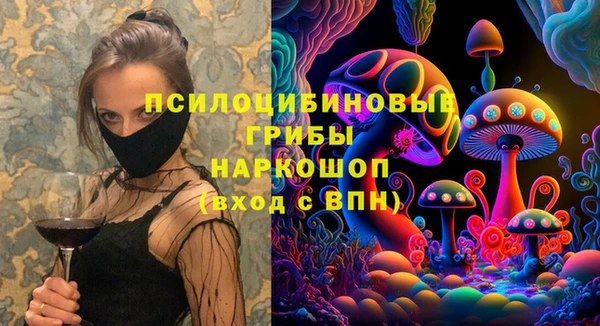 бошки Белокуриха