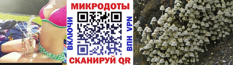 магазин    Володарск  Псилоцибиновые грибы MAGIC MUSHROOMS 